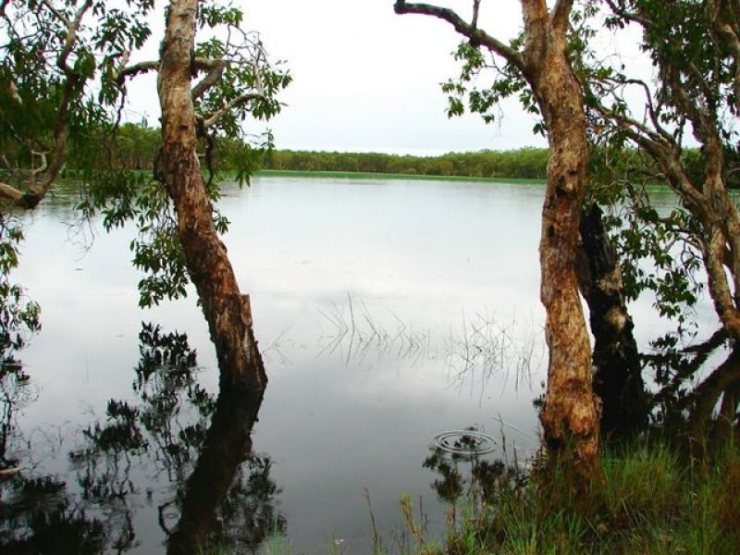 Beautiful Paradise Billabong - Click to go back 
