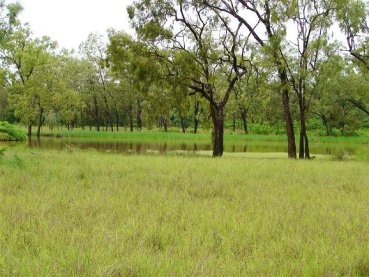 One of hundreds of semi-permanent swamps - Click to go back 